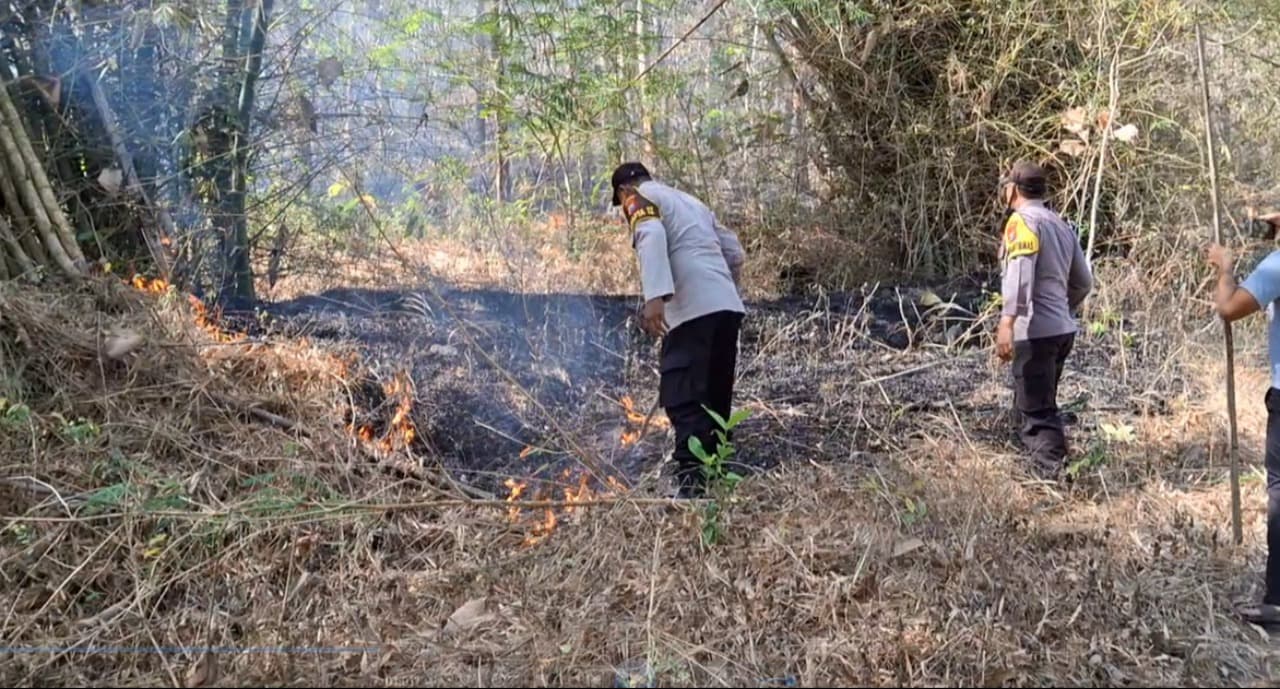 Si Jago Merah Mengamuk di Bukit Lemparan, 6,5 Hektare Lahan Terbakar