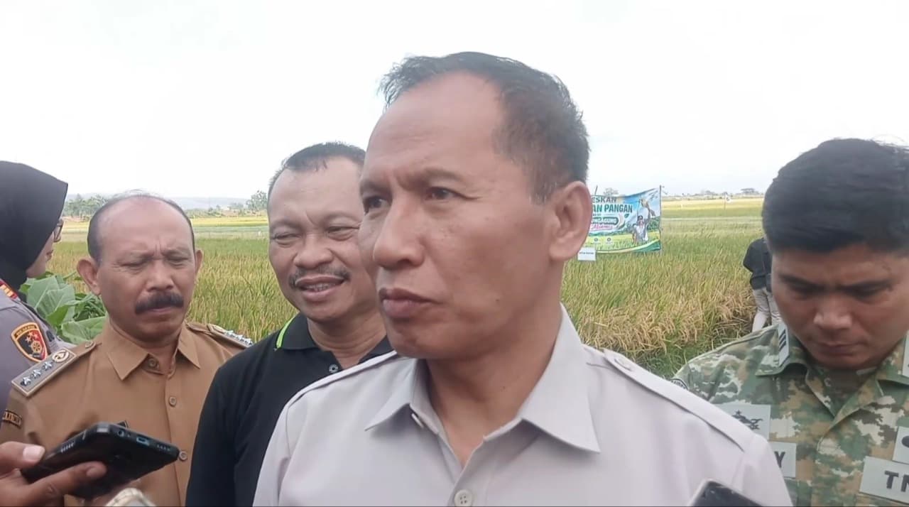 Kemarau Panjang, Tulungagung Tetap Panen Raya dan Surplus 72 Ribu Ton Beras