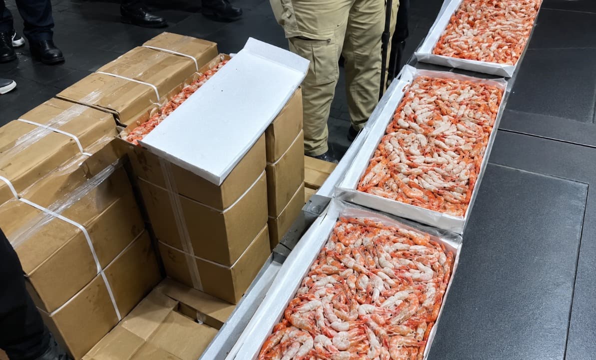 KKP Segel 900 Ton Udang Impor di Pasuruan, Diduga Disalahgunakan untuk Pasar Domestik