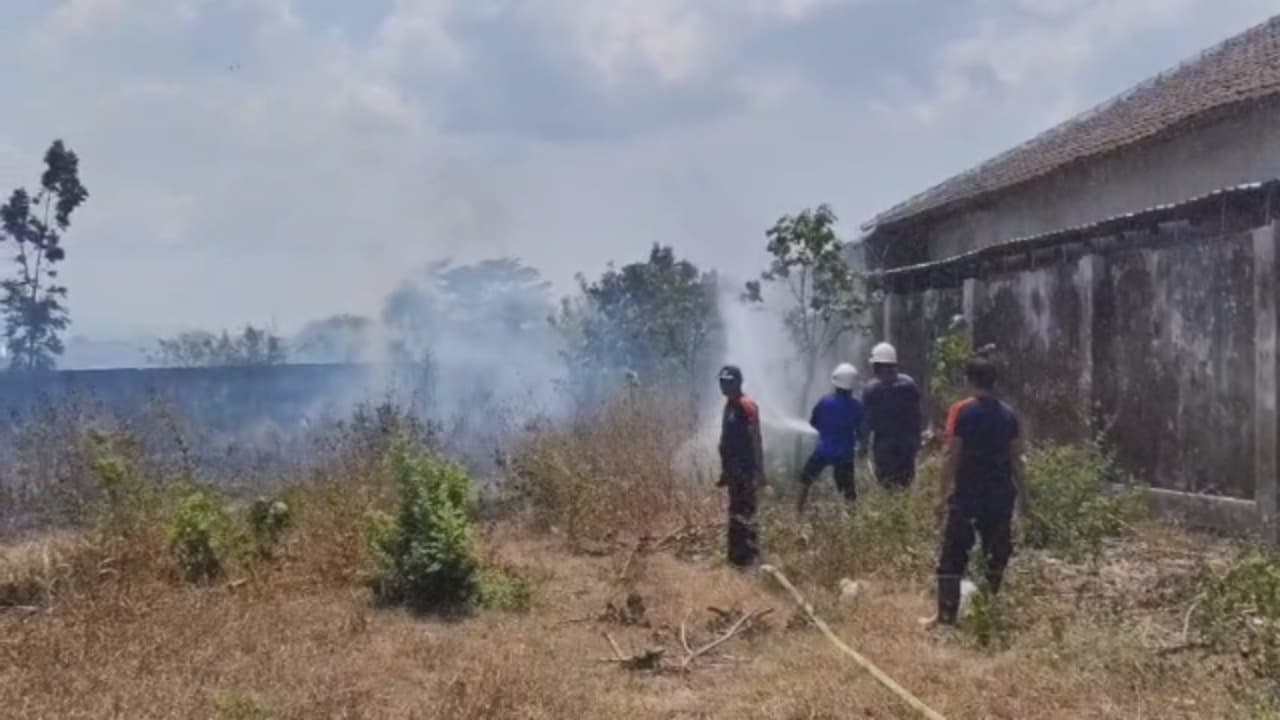 Lahan Dekat Pasar Hewan Terbakar, Warga Panik