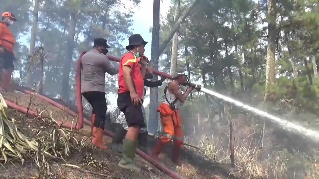 Sepekan Karhutla Gunung Butak Belum Padam, Akses Warga Terputus