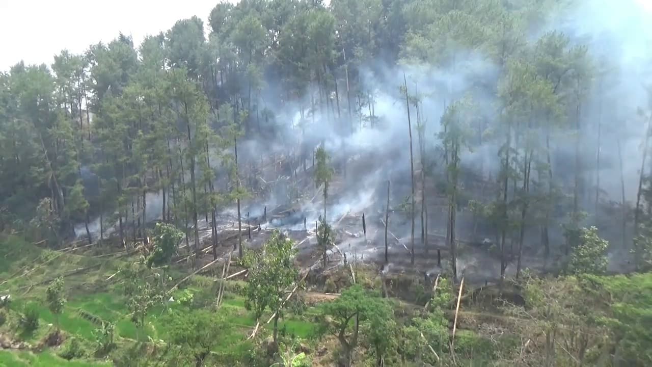 Karhutla Gunung Butak Padam, Luas Lahan Terbakar Capai 60 Hektare