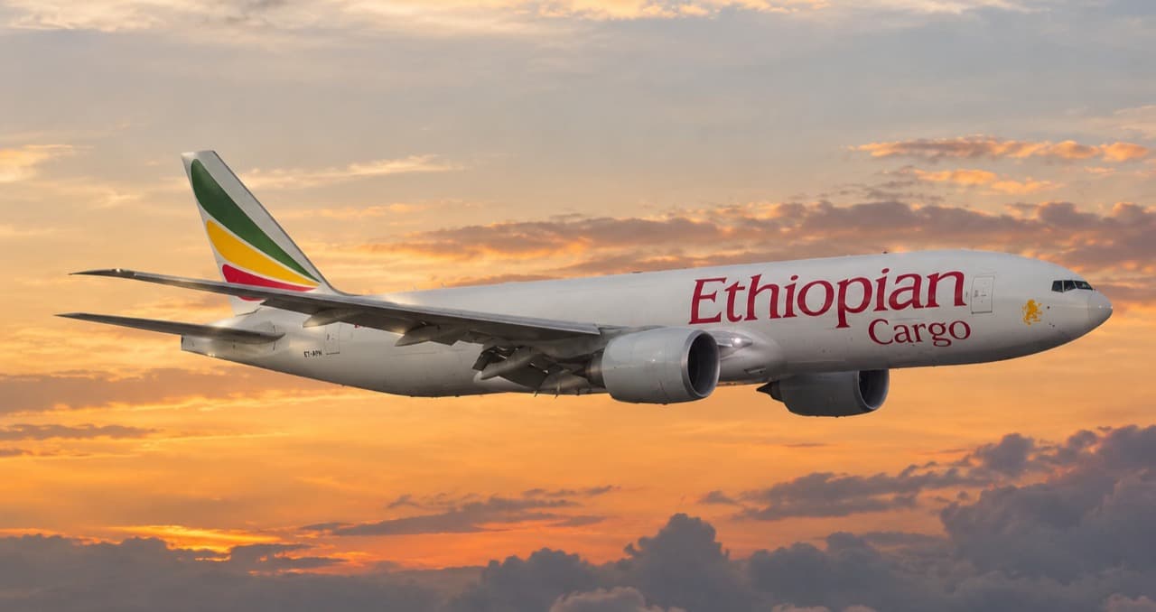 Israel Tolak Pesawat Kargo Ethiopian Airlines karena Pilot WNI