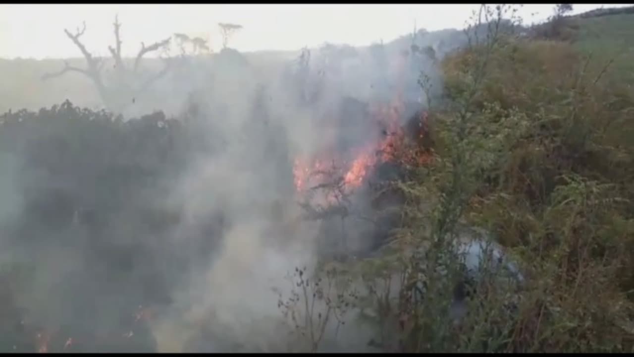 Hutan TNBTS Argosari Kembali Terbakar