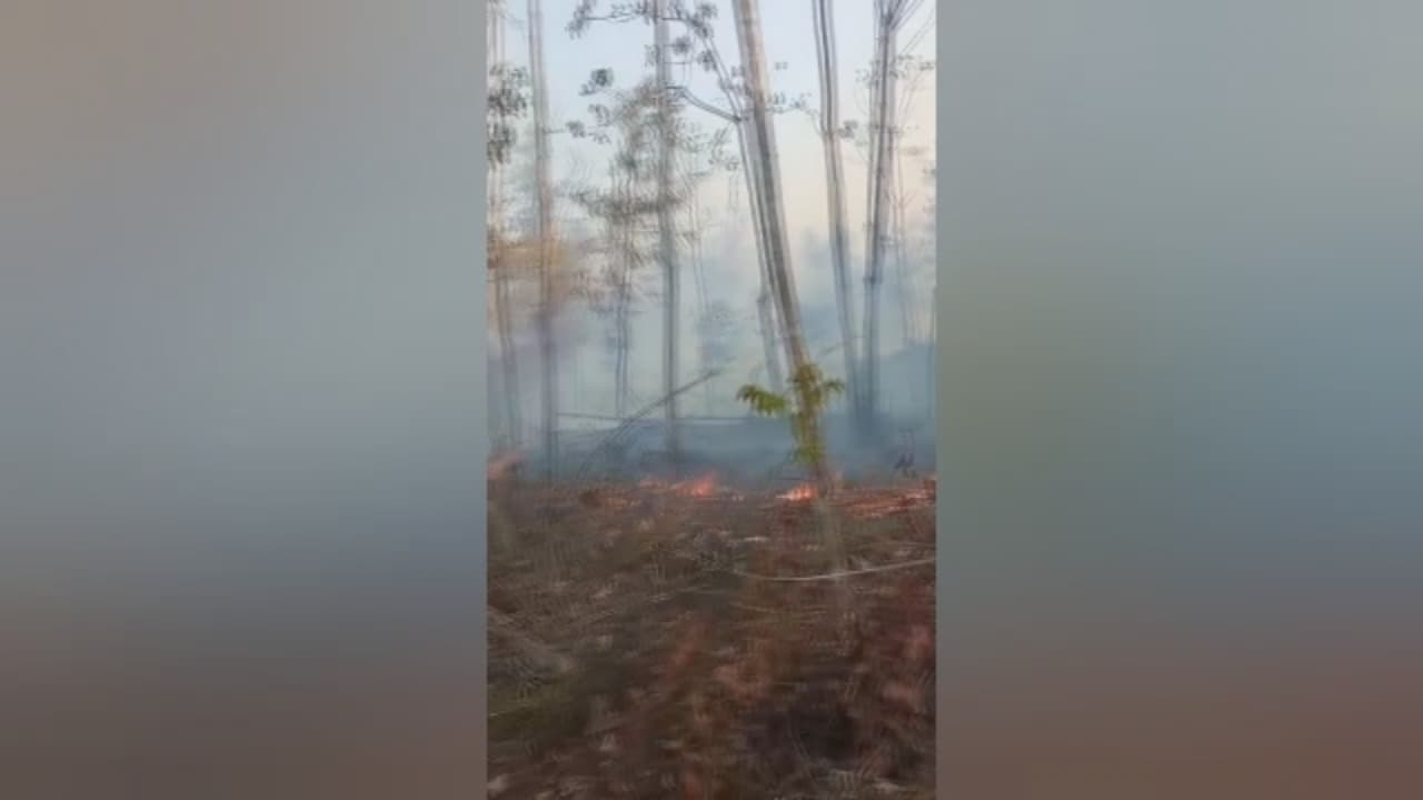 Dampak Karhutla, Jalur Pendakian Gunung Raung via Sumber Wringin Ditutup