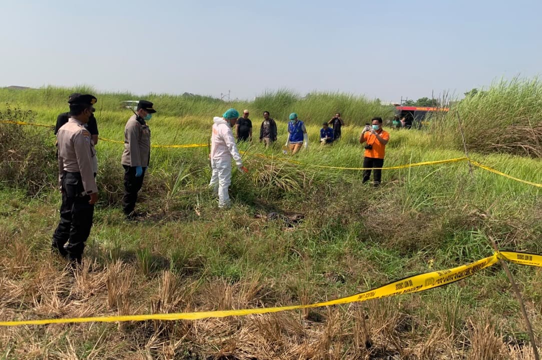 Pria Lansia di Sidoarjo Ditemukan Meninggal Membusuk di Sawah Wilayah Modong Tulangan