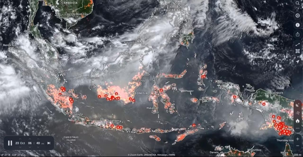 All Eyes On Kalimatan! Kalimantan Masih Terbakar! Ungkap Fakta Karhutla Terbaru Hari Ini