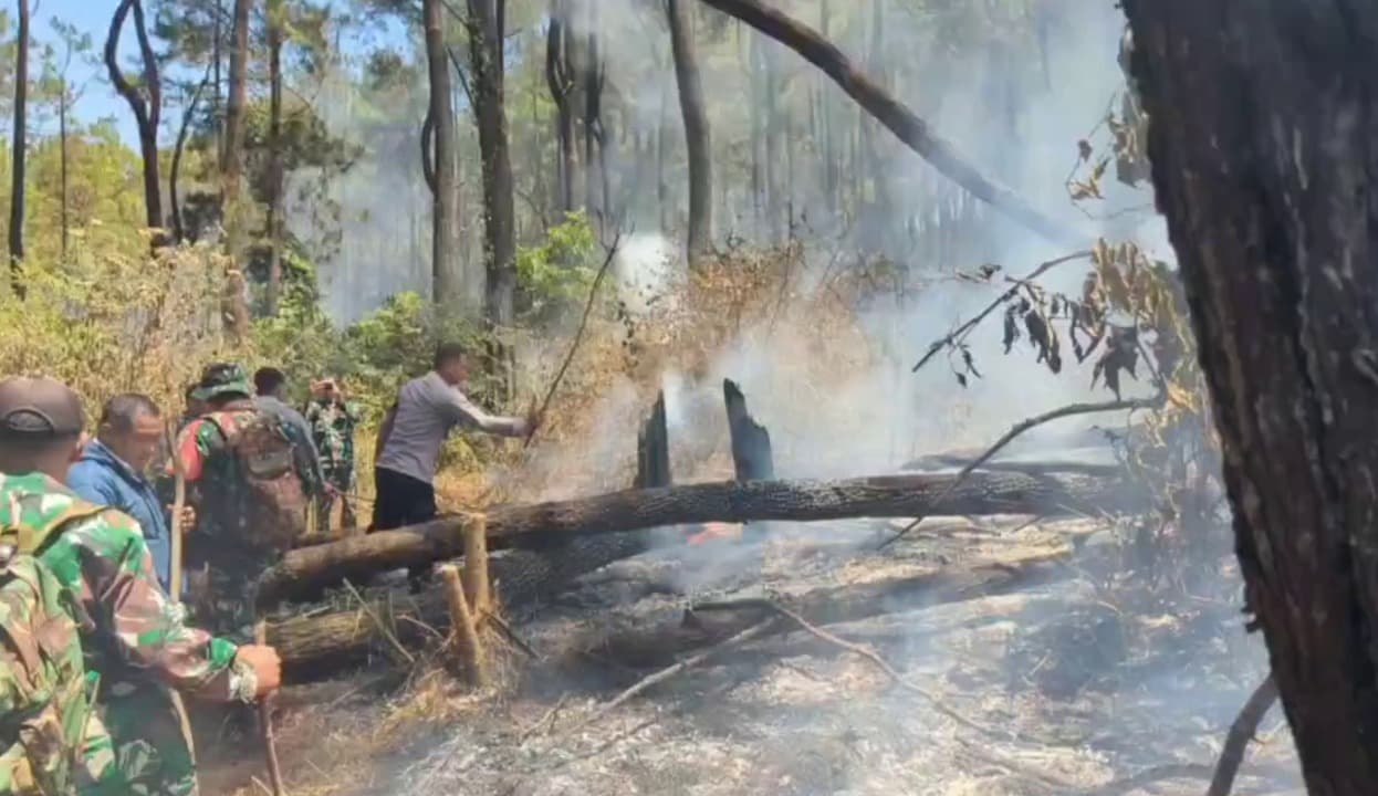 36 Kebakaran Hutan dan Lahan Terjadi di Magetan Selama September 2026