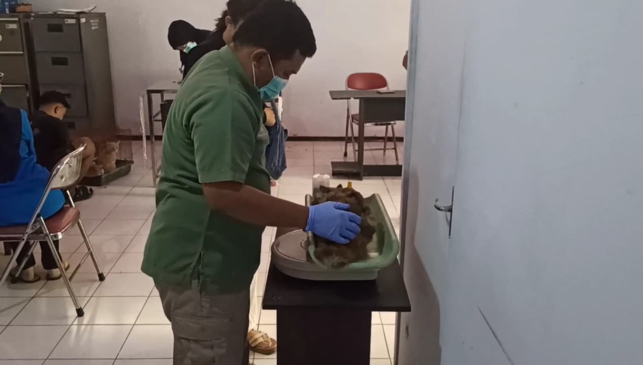 Cegah Penularan, Disnakkan Trenggalek Sediakan Vaksinasi Rabies Gratis Untuk Hewan Peliharaan