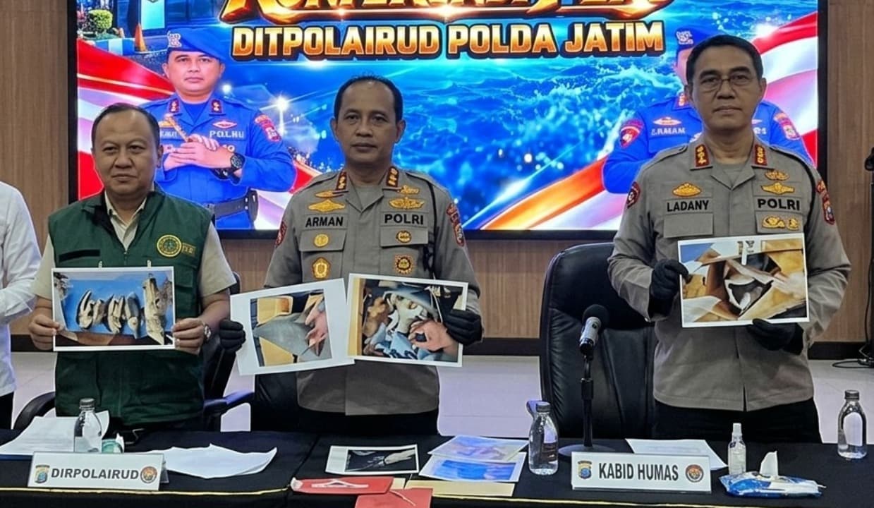 Ditpolairud Polda Jatim Gagalkan Penyelundupan Sirip Hiu di Tanjung Perak