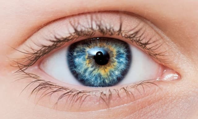 Waspada Diabetik Retinopati: Lindungi Penglihatan, Selamatkan Kualitas Hidup