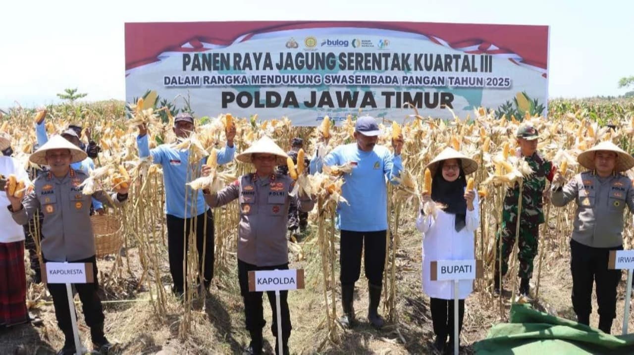 Kapolda Jatim Melakukan Panen Jagung Serentak Kuartal III di Banyuwangi