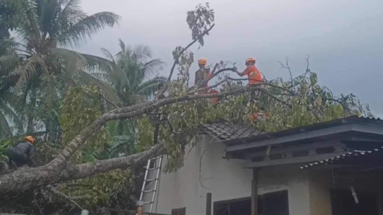 WASPADA! ANGIN KENCANG DAN LONGSOR MENGINTAI BONDOWOSO