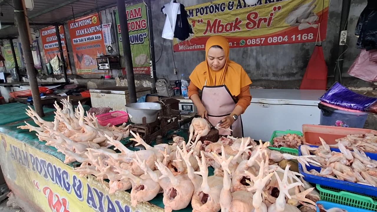 Harga Daging Ayam di Kota Kediri Masih Tinggi, Penjualan Pedagang Anjlok 30 Persen