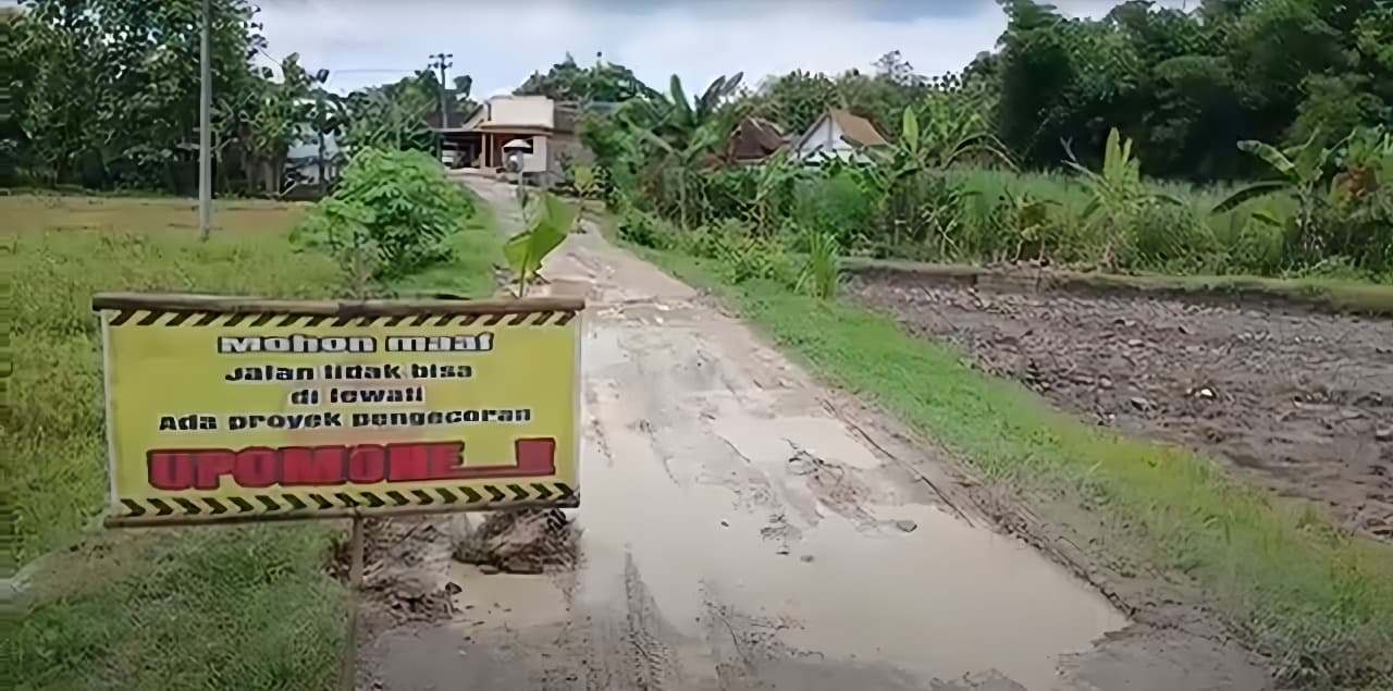 Protes Jalan Rusak Tak Diperbaiki, Warga Ngawi Tanam Pohon Pisang