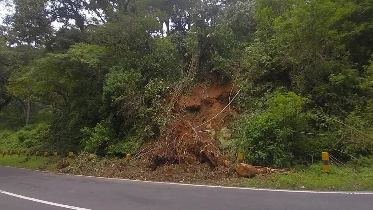 Antisipasi Risiko Pohon Tumbang di Jalur Cemoro Sewu – Sarangan Meningkat Saat Musim Hujan