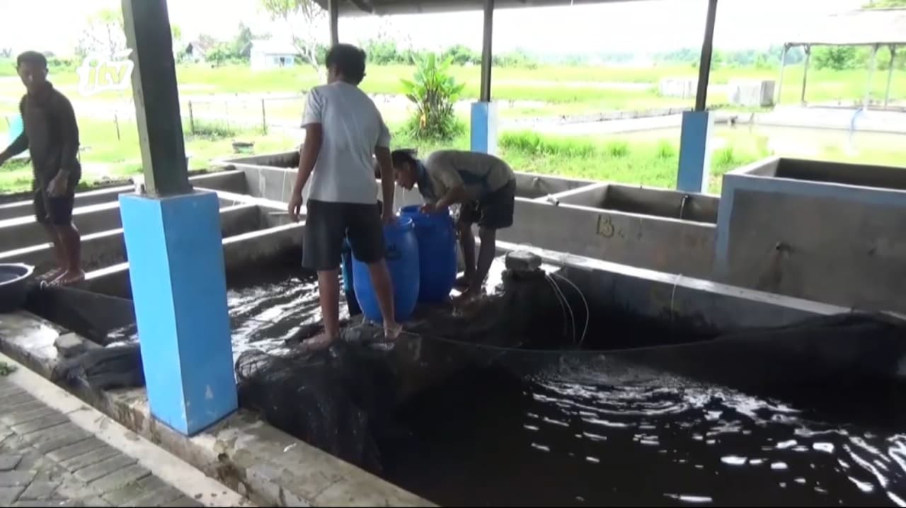Pendapatan Asli Daerah Bidang Perikanan Ngawi Rendah