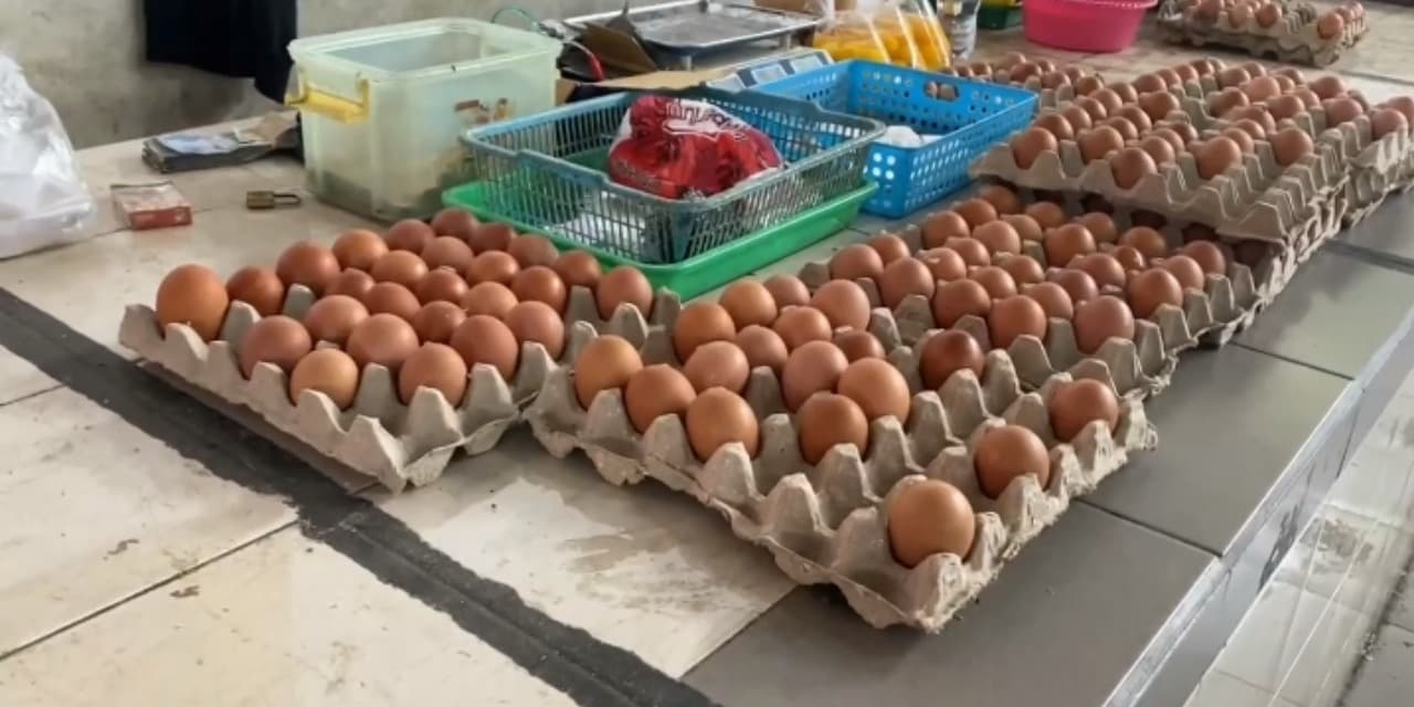 Harga Telur Ayam di Kota Blitar Tembus Rp30 Ribu per Kilogram