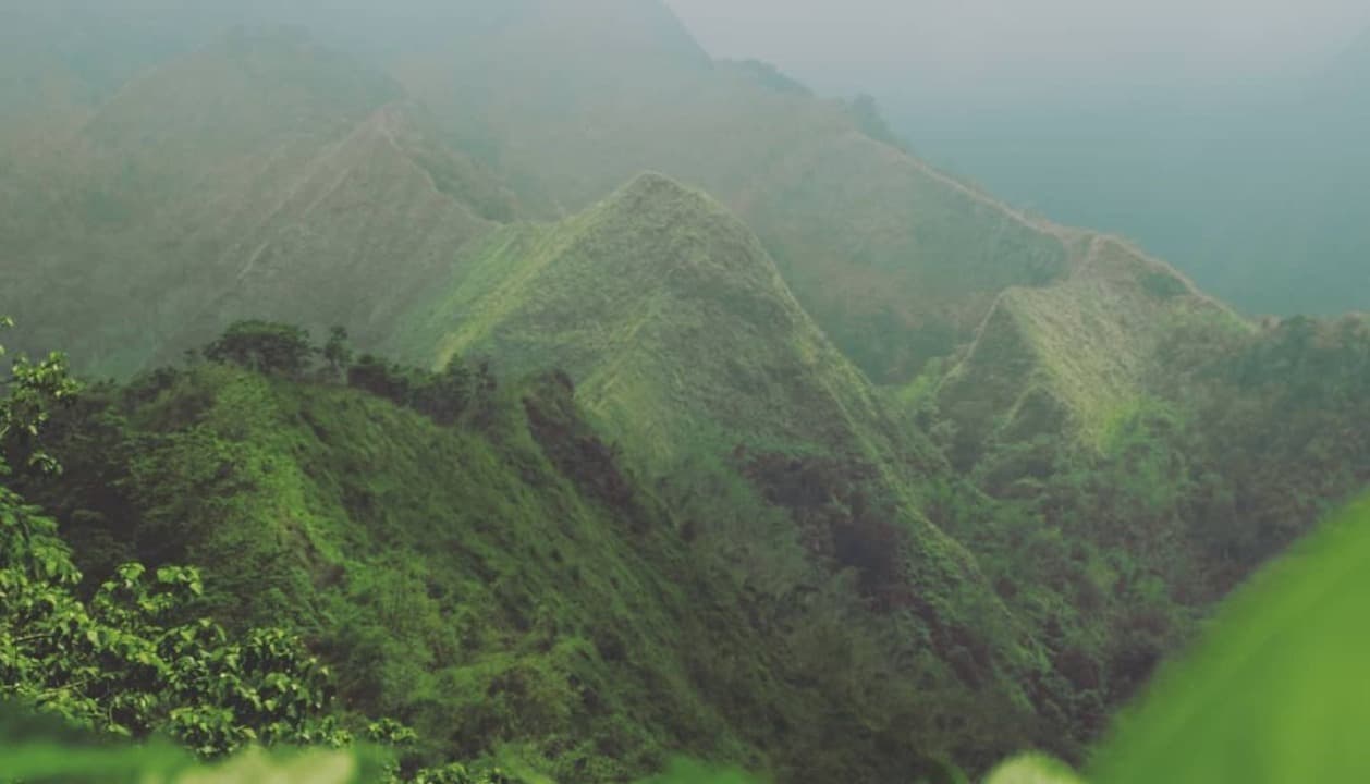Tracking Aman di Bukit Semar Saat Musim Hujan