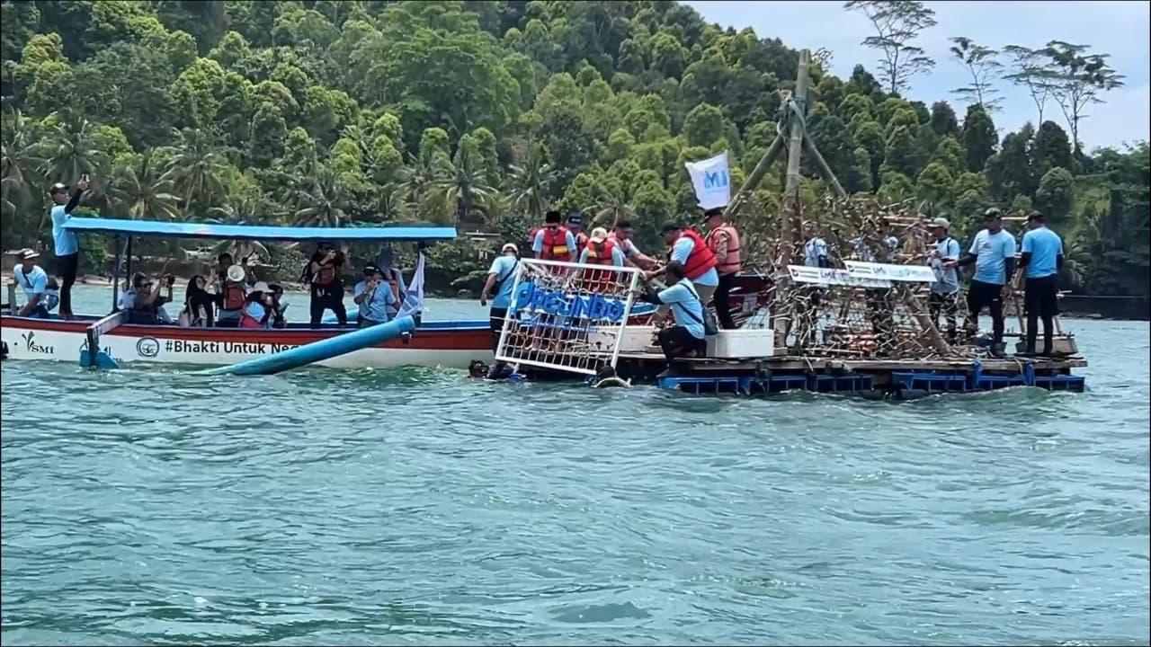 Pelindo Dan Pemkab Trenggalek Konservasi Terumbu Karang Di Pantai Mutiara