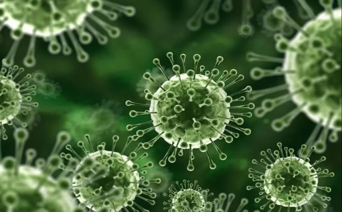 Waspada Ancaman Virus Nipah dari India, Kenali Gejala dan Cara Pencegahannya