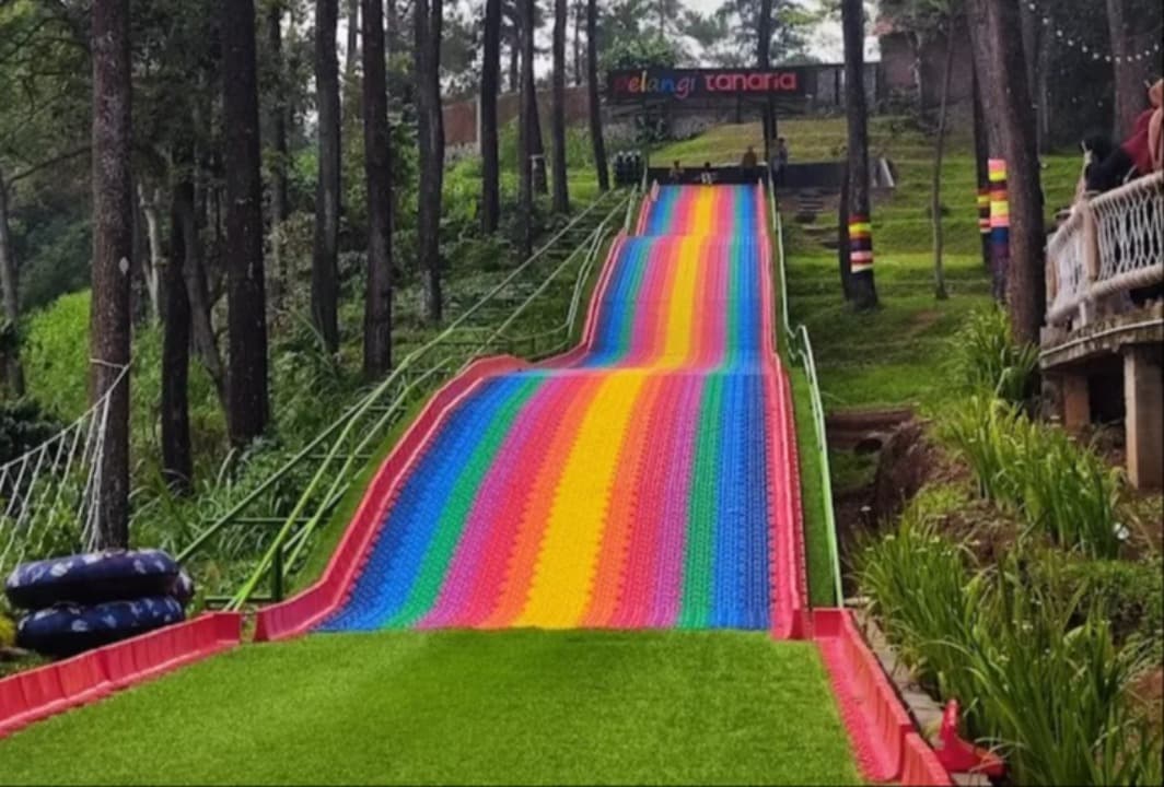 Tanaria Park Prigen, Wisata Hutan Pinus Instagramable yang Ramah Anak di Pasuruan