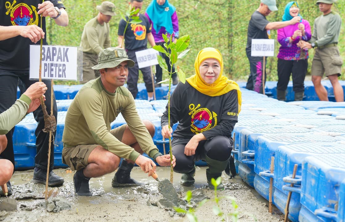 Gubernur Khofifah dan Pasmar 2 Tanam 1.200 Mangrove di Pantai Kenjeran