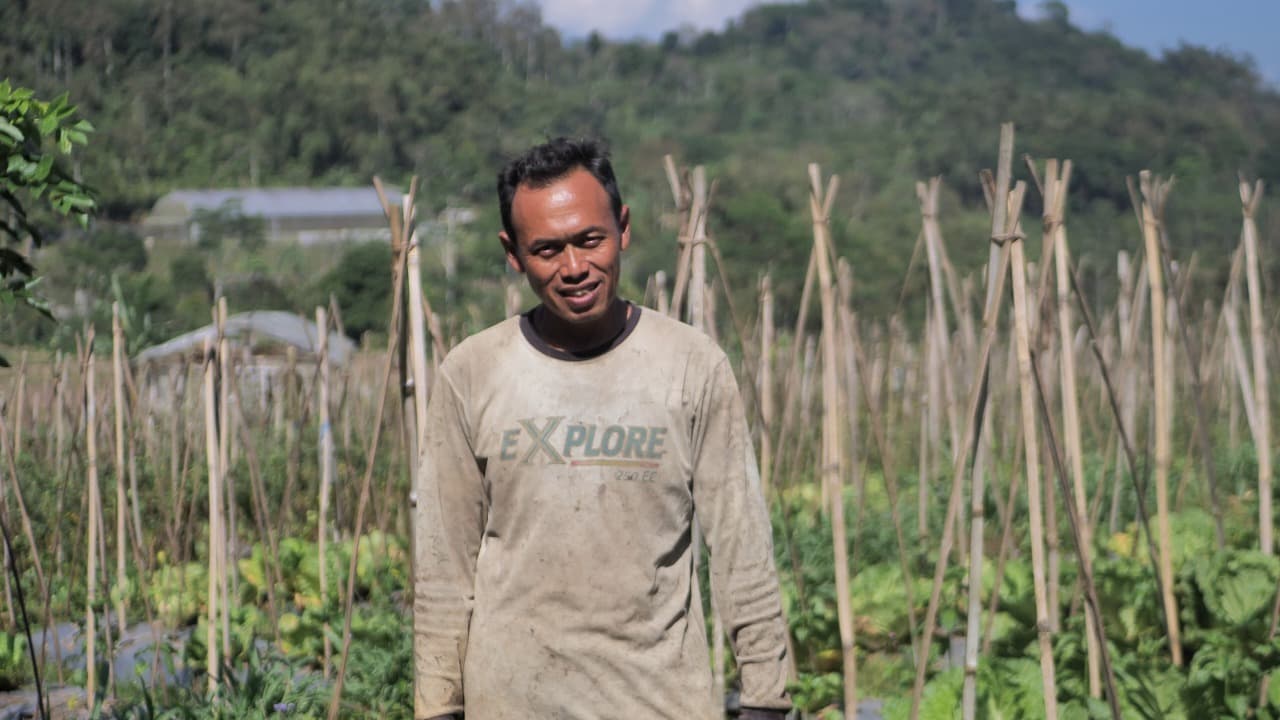 Desa BRILiaN Sumowono Tumbuh sebagai Sentra Sayur Bersama BRI