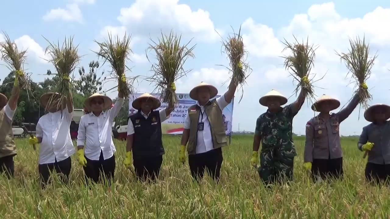 Perum Bulog Targetkan Serap 4 Juta Ton Setara Beras dari Gabah Petani