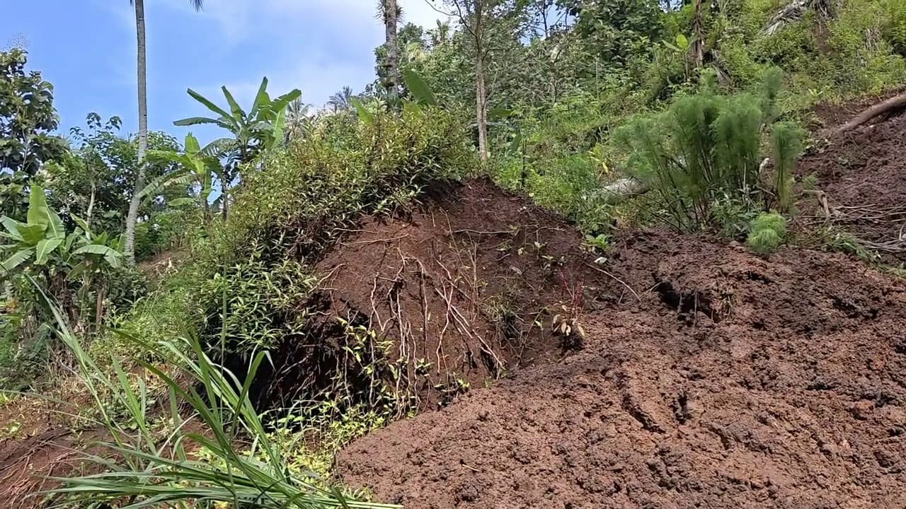 Waspada! 25 Bencana Longsor Terjadi di Ponorogo dalam 5 Hari