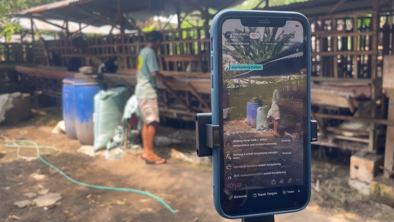 Peternak Gen Z di Jombang Dongkrak Penjualan Hewan Kurban Lewat Live Medsos