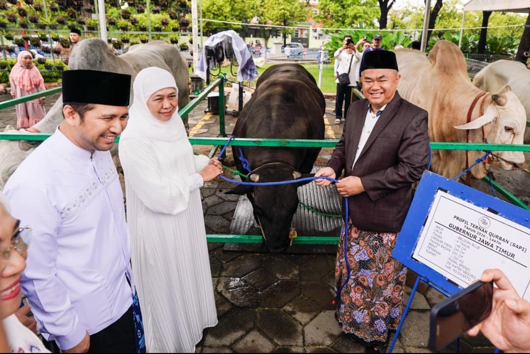 Usai Salat Idul Adha, Gubernur Khofifah Serahkan Sapi Kurban Belgian Blue ke Masjid Al Akbar Surabaya