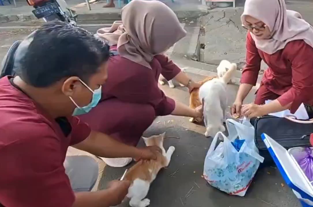 Antisipasi Rabies, DKPP Kota Madiun Vaksinasi Kucing hingga Kera Liar