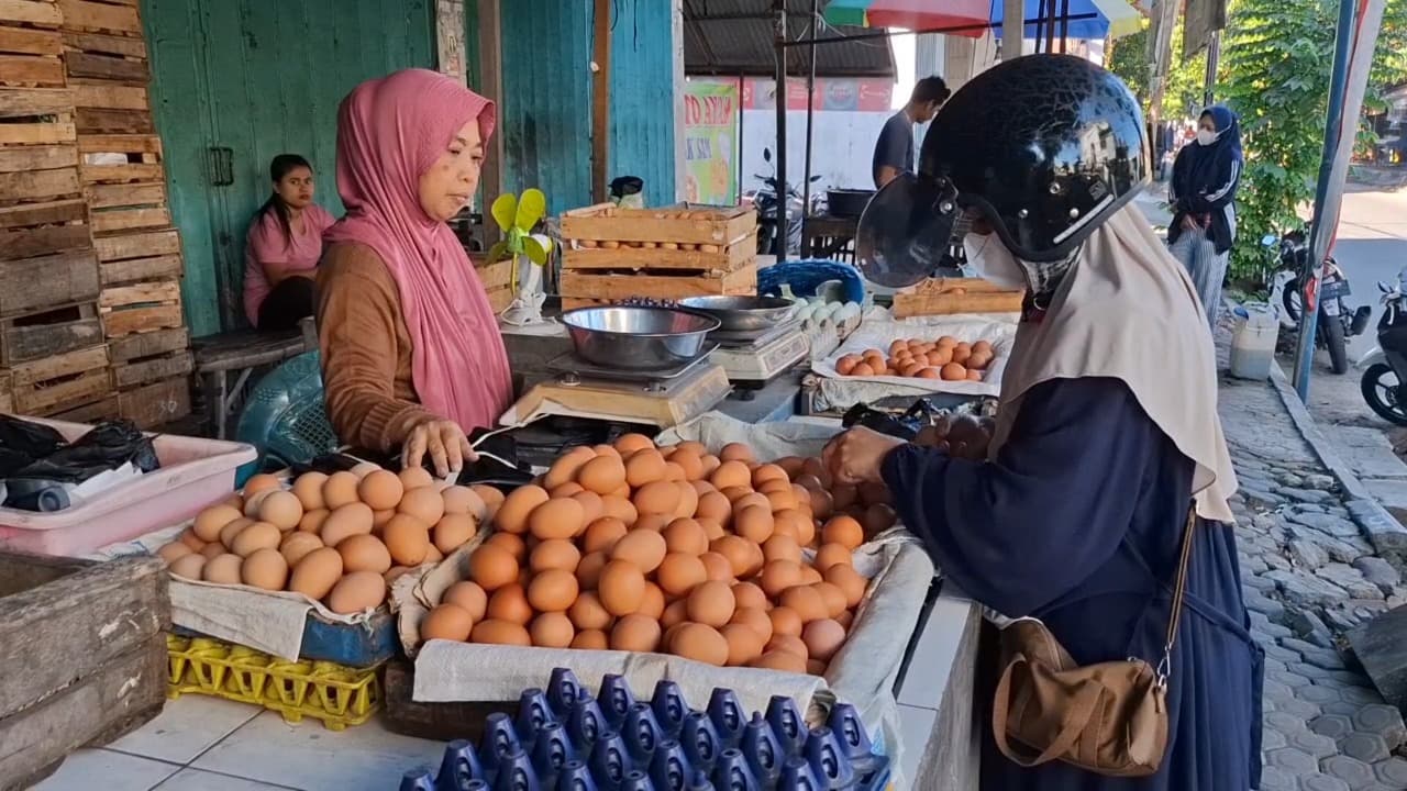 Harga Telur Anjlok di Kediri, Tinggal Rp20 Ribu per Kg saat Bahan Pokok Lain Meroket