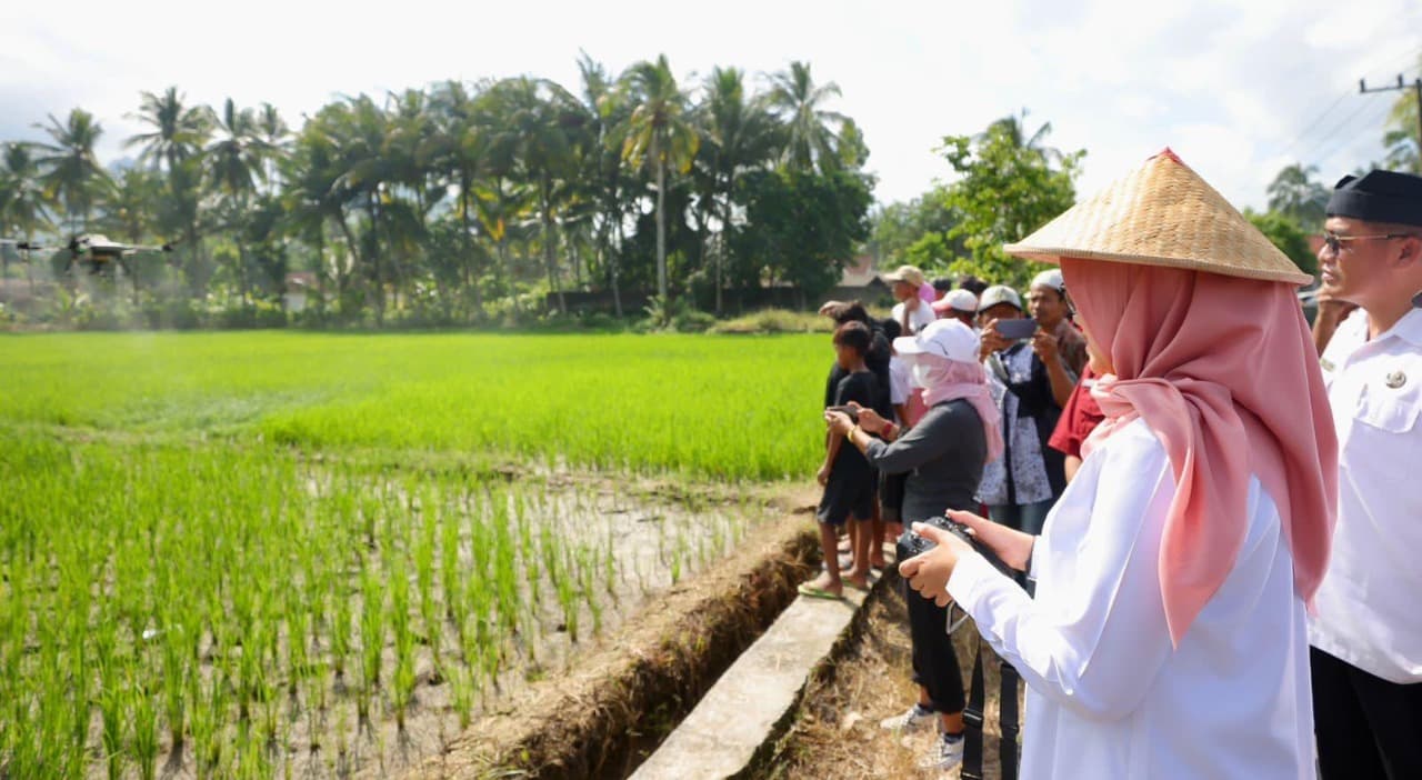 Produksi Beras Banyuwangi Januari Hingga Juni 2026 Surplus 174 Ribu Ton