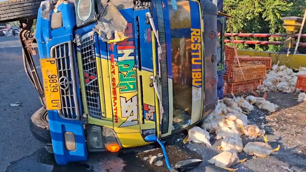 Diduga Kurang Konsentrasi, Truk Pengangkut Ayam Hantam Bus di Jalan Madiun–Ponorogo