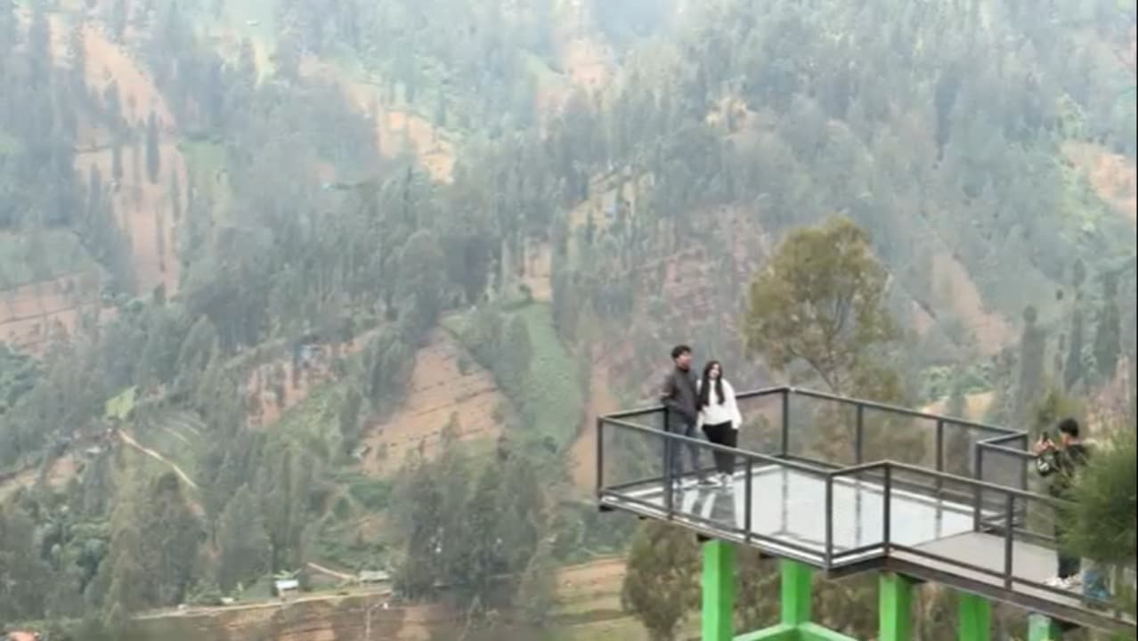 Menjelajahi Taman Edelweiss Wonokitri, Surga Bunga Abadi di Lereng Bromo