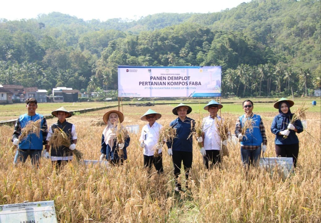 Wujudkan Desa Berdaya FABA, PLN Nusantara Power Bersama Desa Sukorejo dan IPM Panen Demplot Kompos FABA, Siap Dikembangkan ke Lahan Pertanian yang Lebih Luas