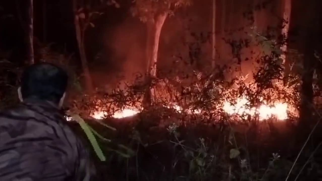 Hutan Lindung di Sampung Ponorogo Terbakar, Asap Tebal Ganggu Pengendara di Jalur Ponorogo–Magetan