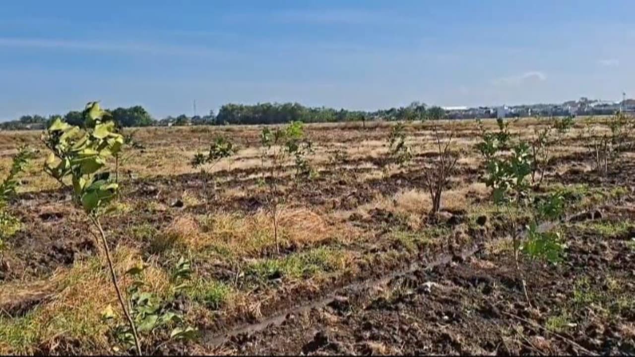 Dua Lokasi Ditolak, Pemkot Madiun Ajukan Lahan Enam Hektare untuk Sekolah Rakyat