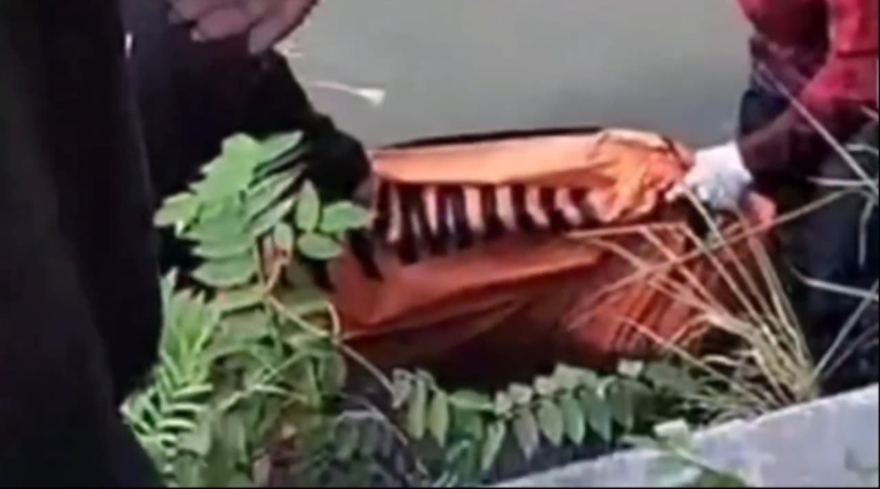 Tukang Batu Tewas Mengambang di Sungai Ponokawan Krian, Diduga Tercebur Saat Cari Ikan