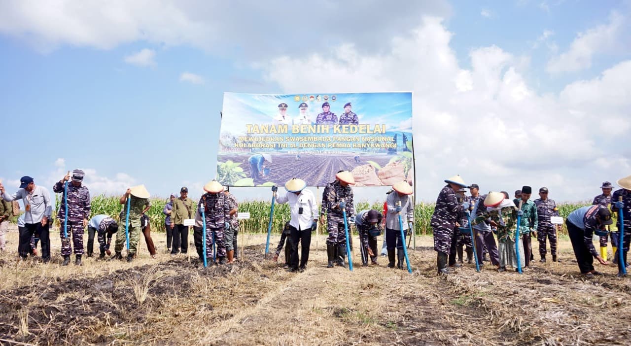 Dukung Produksi Kedelai Nasional, TNI AL dan Pemkab Banyuwangi Kelola 1.200 Hektare Lahan