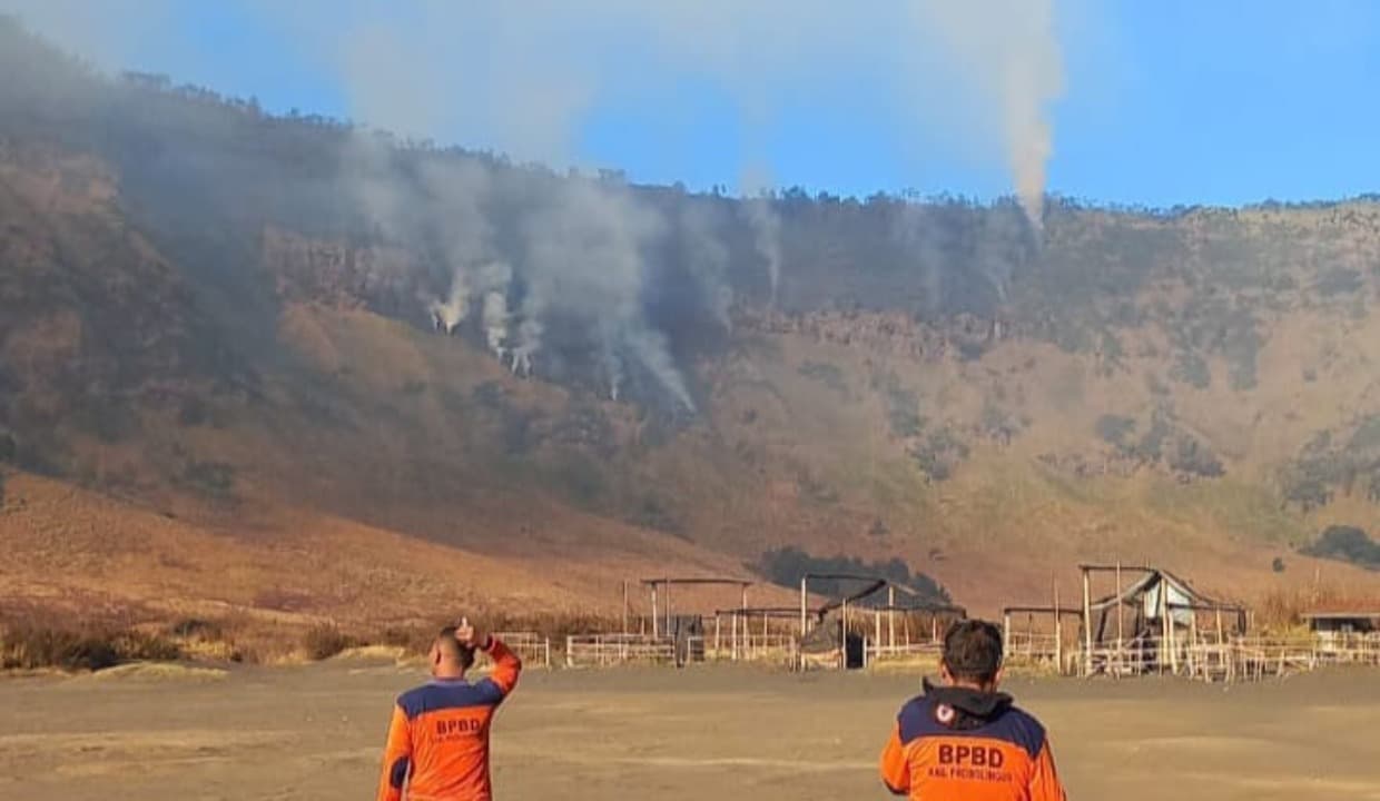 Hutan dan Lahan di Kawasan Bromo Terbakar, TNBTS Tutup Tiga Jalur Wisata