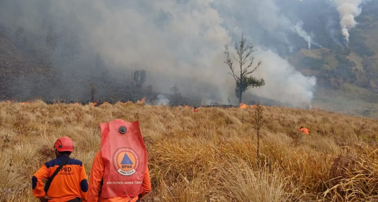 Petugas Gabungan Padamkan Api Secara Manual Karhutla di Kaldera Bromo