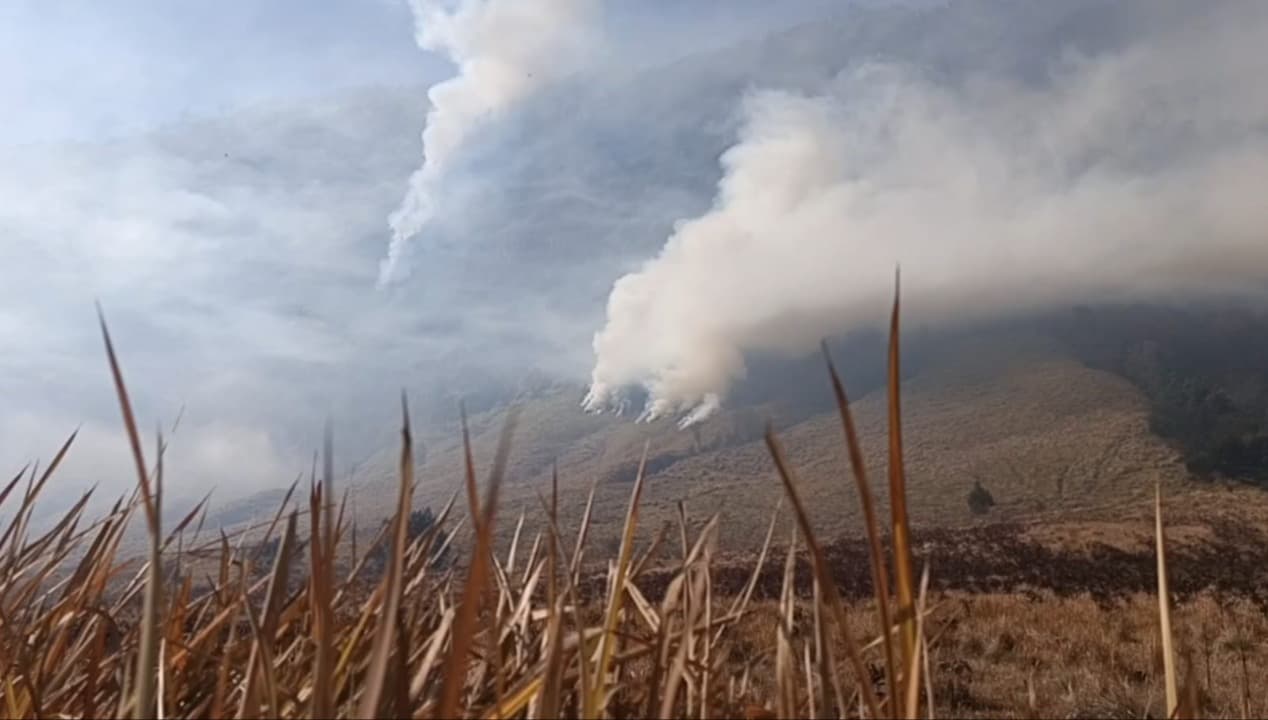 Kebakaran Bromo Meluas hingga Bukit B-29, Lebih dari 86 Hektare Lahan Terbakar