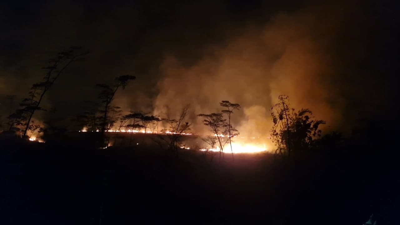 Diduga Dibakar Orang Tak Bertanggung Jawab, Dua Hektare Lahan Tebu di Ponorogo Ludes