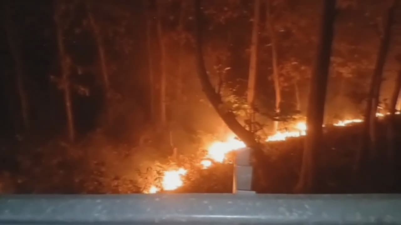Kemarau Ekstrem, Ijen Dan Arak-Arak Rawan Terbakar