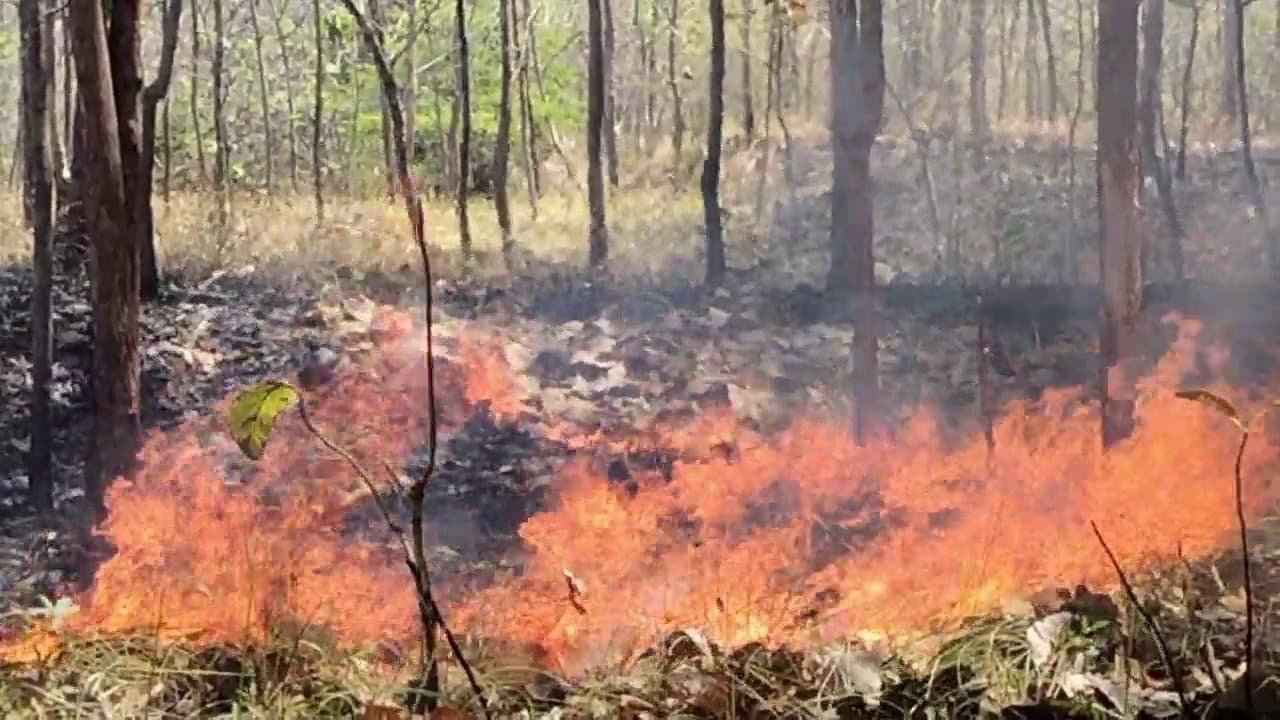 Hutan Lindung Terbakar, Api Mendekati Rumah Warga