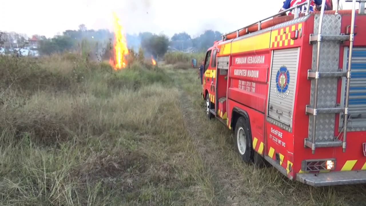 Puluhan Hektare Lahan Berupa Tebu dan Ilalang Terbakar