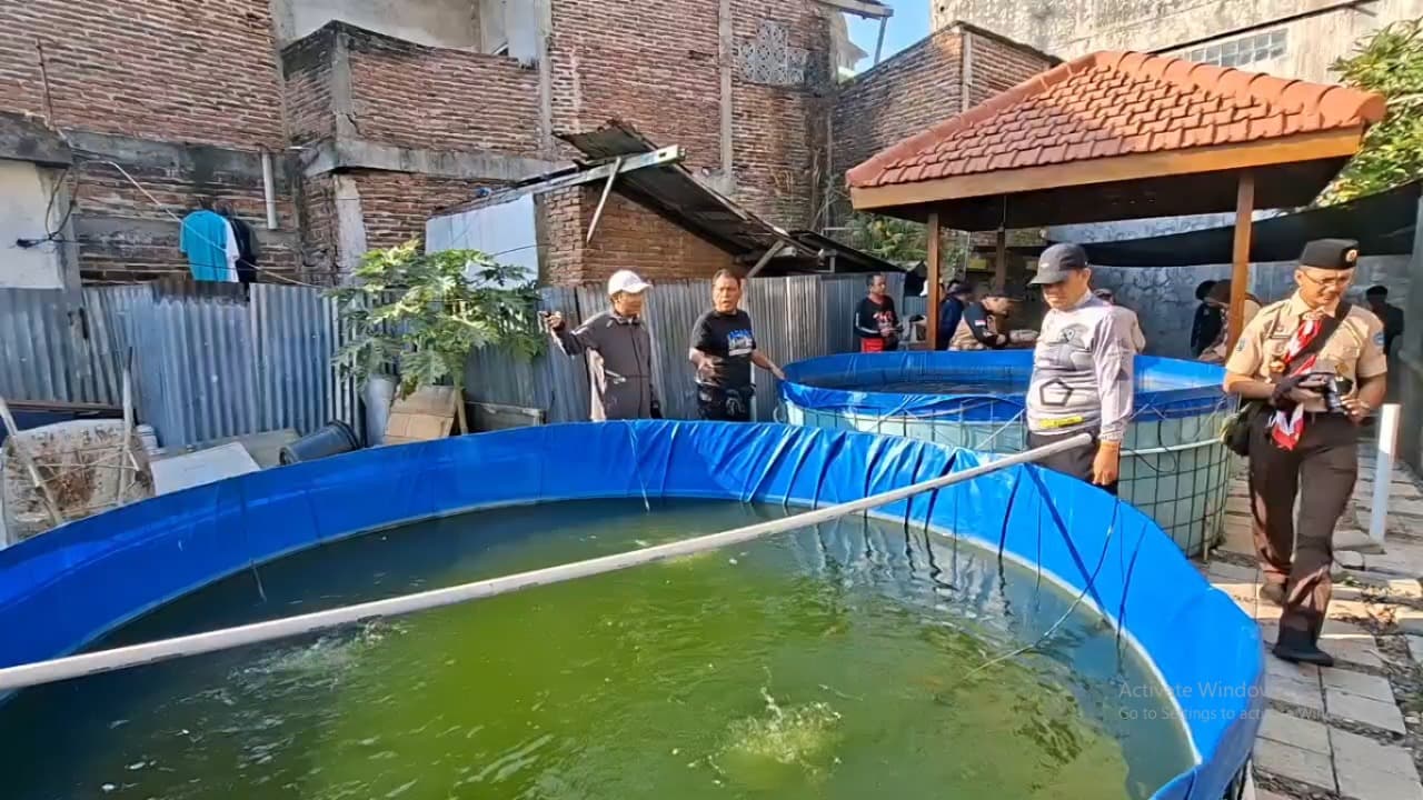 Sampah Organik Diolah Jadi Maggot, Dimanfaatkan untuk Pakan Ternak